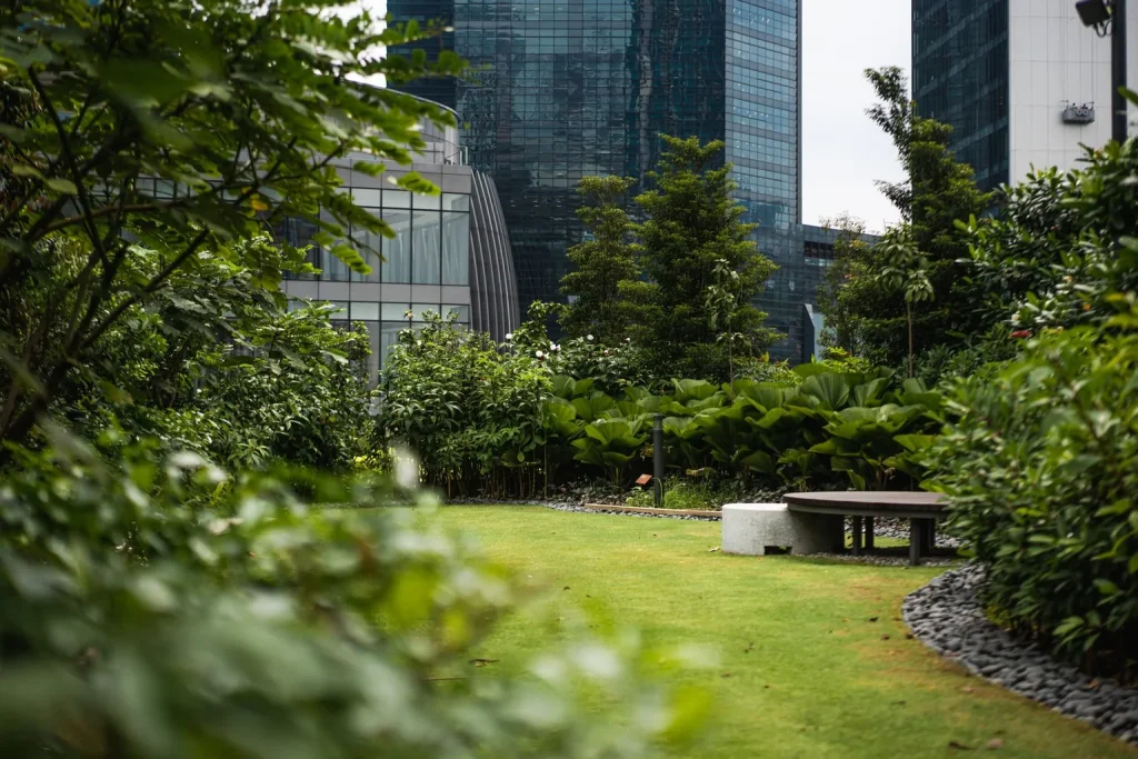 trx city park